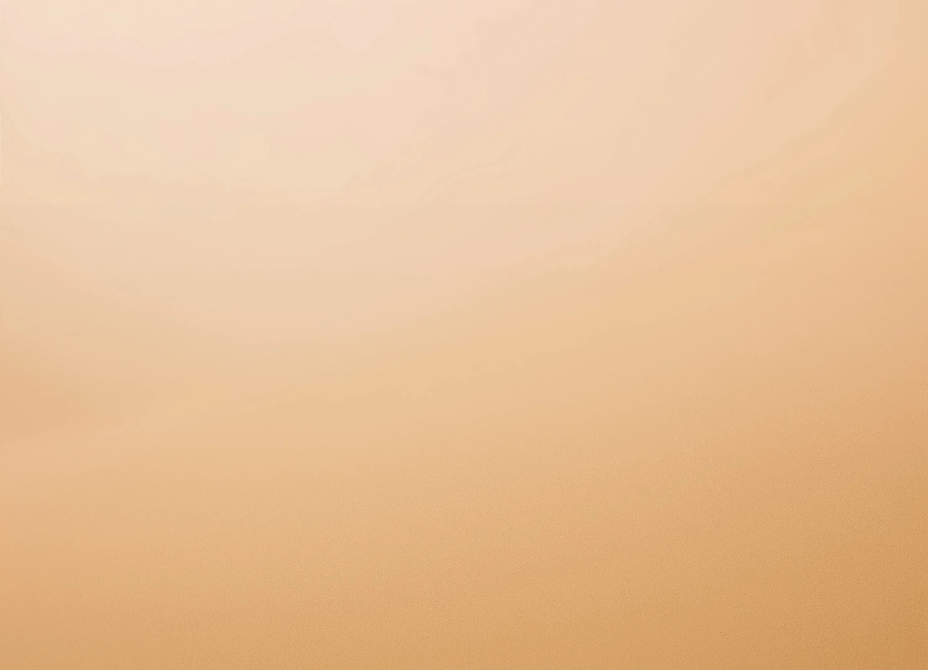 Homepage