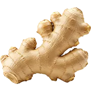 Ginger